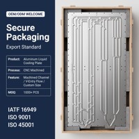 Plaque froide liquide en aluminium soufflé ISO9001 ISO45001 IATF16949 pour le refroidissement des batteries de stockage d'énergie à l'exportation
