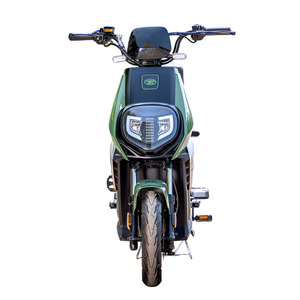 Eccellente Motore Elettrico Impermeabile Senza Spazzole 48V Lunga Durata della Batteria Confortevole Guida su Tutti i Terreni Alta Qualità Urbano per Adulti - Product Image 4