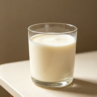 Poudre aromatisante concentrée au goût crémeux riche pour pâtisseries, produits laitiers et aliments instantanés