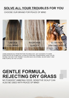 YISICHEN Poudre décolorante permanente pour cheveux, à base de plantes biologiques, sans ammoniaque, pour cheveux normaux - Utilisation en salon, douce et sans poussière