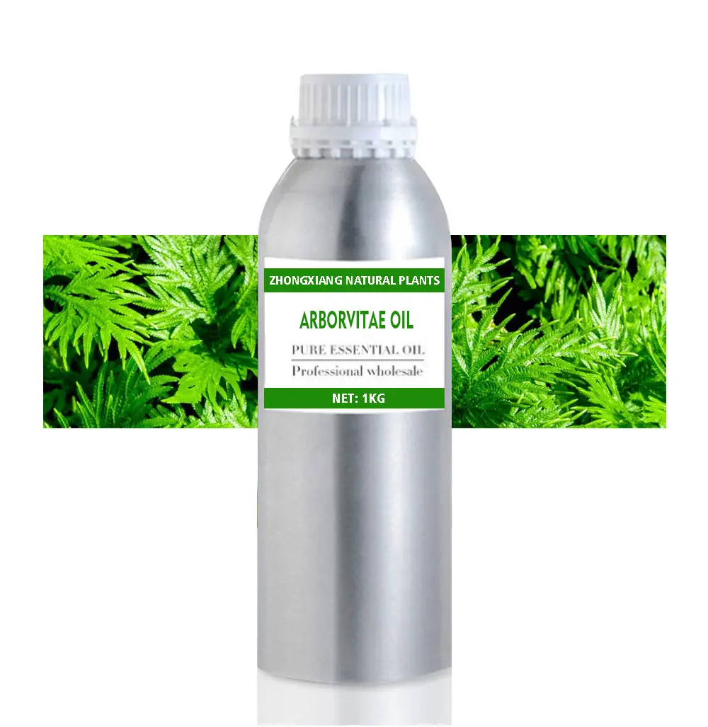 OEM factory supply 100% pure and natural thuja/ oriental arborvitae essential oil for skin care