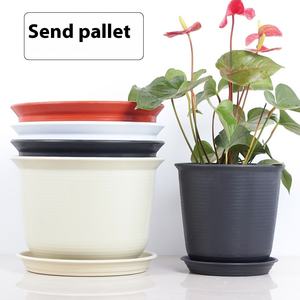 Lavabos de cerámica Resina gruesa Plástico Grande Carnoso Verde Cuadrado <span class=keywords><strong>Maceta</strong></span> Diseño creativo para balcón Producto fabricado - Product Image 2