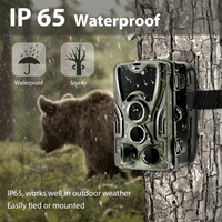 Suntekcam-Cámara impermeable de visión nocturna para caza, dispositivo con control de aplicación WiFi de 36MP, 2,7 K, IP65, 801Plus