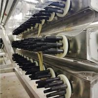 Équipement de viande de poulet de volaille moderne entièrement automatique commerciale Plumeuse Machine Abattoir Production Cueillette de poulet