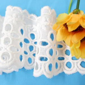 <span class=keywords><strong>2025</strong></span> En Yeni Tasarım İşlemeli Pamuklu Dantel Malzemesi İşlemeli Kumaş Pamuk İplikli Dantel Şerit Zarif İşlemeli Dantel Şerit - Product Image 1
