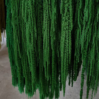 Glycerin-konservierte hängende Amaranthus-Blume – umweltfreundliche Trockenblumen, modisch für Valentinstag & Abschlussfeier