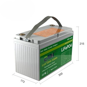 Batterie rechargeable LiFePO4 12V 120Ah OEM ODM à semi-conducteurs avec BMS, 3000+ cycles, pour énergie solaire - Product Image 2
