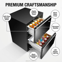 Réfrigérateur à bière personnalisé OEM 24, refroidisseur de boissons, sac isotherme de luxe pour champagne, glacière à zone unique, pour bouteilles