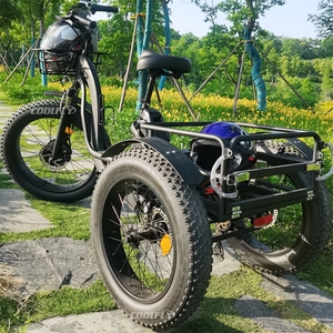 Prix usine 3 roues vélo 48V 750W trois roues adulte cargo vélo électrique avec panier - Product Image 1