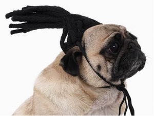 Peluca para mascotas, suministros para perros, accesorios para mascotas, pelo rizado, pelo liso, peluca para gatos - Product Image 2