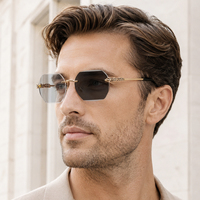 Lunettes de soleil photochromiques Partagas Fashion avec logo personnalisé, verres sans monture taillés en diamant, tête de léopard, protection UV400 pour hommes