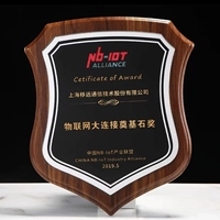 Trophées et Plaques en Bois ADL Personnalisés avec Logo et Mots, Impression Sérigraphique, Gravure, Récompenses Portables pour Événements Scolaires
