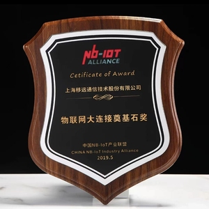 Logotipo personalizado y palabras ADL Trofeo de madera Medalla Placas Impresión UV Premios de cristal Trofeos para eventos escolares - Product Image 3