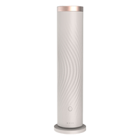 Nouveau diffuseur d'arômes silencieux à double liquide, à lumière chaude, en métal, pour hôtel, maison et usage domestique