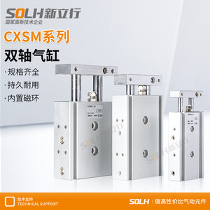 Cilindro de Doble Eje TR6 CXSM10-10/20/30/40/50/60/75/100/125/150, Piezas Neumáticas Pequeñas de Doble Vástago - Product Image 4