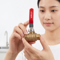 Robinet à bille fileté en laiton DN20 3/4 PN30 avec poignée rouge pour l'eau, l'huile et le gaz