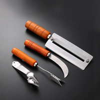 Ensemble d'outils de gros pour éplucher les ananas, couteau à fruits en acier inoxydable, éplucheur de canne à sucre, nettoyeur de pousses de pommes de terre avec manche en bois