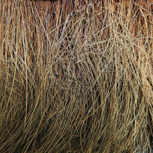 Qualité supérieure de l'épurateur de fibre de coco nettoyage de cuisine forme d'épurateur naturel fabricants indiens - Product Image 1