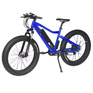 Popular used fat tire electric cycle, electric power cycle