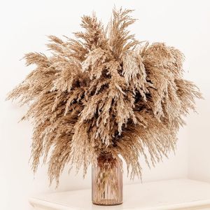 Dried Pampas Grass Bouquet for <strong>Boho</strong> Table <strong>Decor</strong> <strong>Rustic</strong> <strong>Wedding</strong> Home &amp; Christmas Party for Baby Shower Decorations - Product Image 1