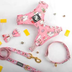 Collar de correa de perro de diseño personalizado, juego de lazos, arnés de nailon de neopreno, pecho pequeño, ajustable, correa de perro personalizada para gato - Product Image 6