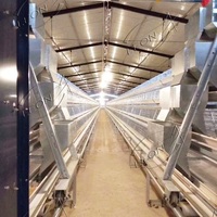 Grillage galvanisé à bas prix, type A, grandes cages à poules pour poulaillers aux États-Unis