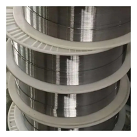 Ventas directas de fábrica de platino puro iridio tungsteno níquel plata rodio tantalio titanio y otros alambres de aleación
