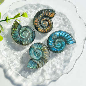 Offre Spéciale : Coquille de Labradorite Naturelle en Forme d'Escargot, Artisanat en Cristal, Énergie Guérisseuse, Effet Bleu Scintillant, Idéale pour Cadeau - Product Image 3
