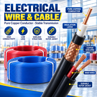 Câble électrique résistant à la corrosion, conducteur en cuivre BV, isolation en PVC, 450-750V, pour éclairage domestique durable