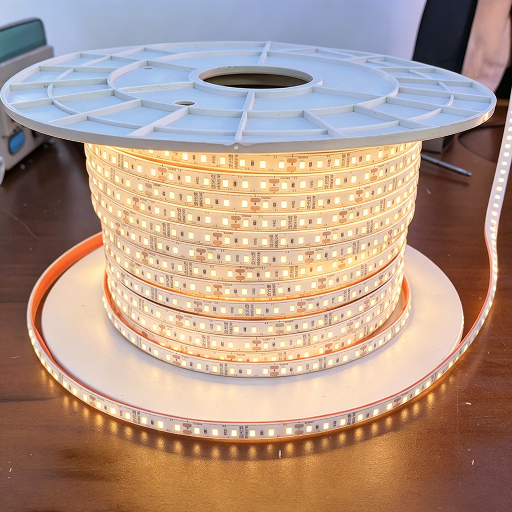 Waterproof Led Strip Lights Led Light IP68 Waterproof 24V 120LEDs/m 12W Luces Led Inside Swimming Pools Underwater Landscapes