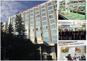 Muestras gratuitas directas de fábrica de aceite de condimento de pollo triturado de alta calidad disponibles para pruebas - Product Image 6