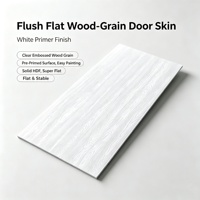 Panneau de porte intérieure économique en HDF, finition grain de bois blanc, design moderne, coupe-vent, pour entrepôts et supermarchés