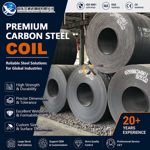 เหล็กม้วนคาร์บอน Q235 Q345 รีดเย็น รีดร้อน ขนาด 50 มม. 1219 มม. สำหรับงานโครงสร้างเหล็ก ASTM A1011 - Product Image 1