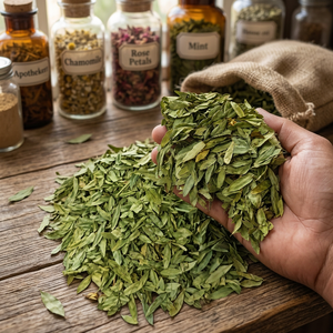 Feuilles de Séné Cassia Angustifolia Séchées, Feuilles de Thé Herbal Cassia Angustifolia, Infusion de Feuilles Coupées de Cassia Angustifolia - Product Image 3