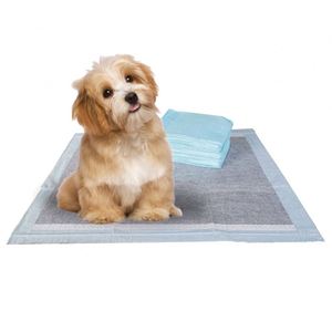 Tapis d'entraînement pour chiens au charbon de bambou, tapis absorbants jetables pour chiots, tapis d'apprentissage pour animaux de compagnie anti-fuites - Product Image 1