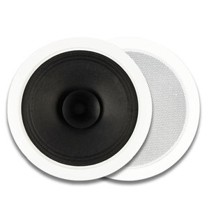 Haut-parleur de plafond Tianlai 601A certifié CE avec grille, options de couleur blanc et noir, économique et de haute qualité - Product Image 2