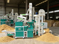 Machine à moudre le riz personnalisable 20tpd 1000kg/H pour une efficacité optimale