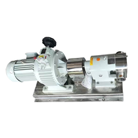 Pompa Rotor Sanitasi YAQUAN FRP-1 OEM China untuk Madu, Cokelat, Selai, Saus 1m3/jam 0.3MPa SS304 Low Shear