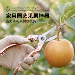 Stainless Steel <b>Pruning</b> Shears Heavy Duty Garden Fruit <b>Tree</b> Cutting Horticultural Thinning <b>Tools</b> - Product Image 3