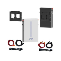 Deye 51.2v 208Ah 10.6KWH 51.2v Batteries au lithium Lifepo4 Batterie de stockage murale