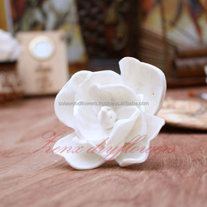 Ambientador con Difusor de Fragancia Orgánico Ecológico, Sola Flowers para Coche, Caña de Algodón Malvado, Flor Decorativa de Mognolia para Coches - Product Image 3