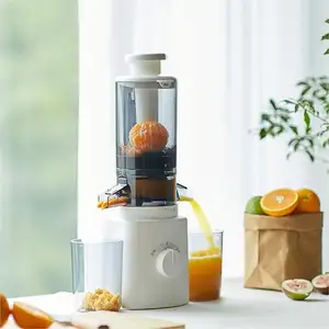 Electric Big Mouth Centrifugal Fruit Vegetable Juicer Machine Orange Citrus Cold Press Slow Juicer Extractor Machine