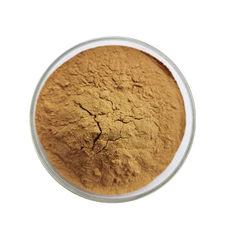 Natural Organic Peru Black Maca Root Extract Powder