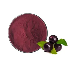 Hot Selling Food Additives Freeze-Dried EU Organic Acai Berry Extract Powder