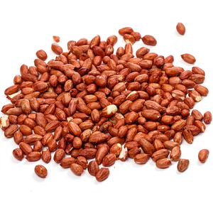 Nouvelles cacahuètes de saison, ingrédient de boulangerie premium, arachides fraîches, noyaux de cacahuètes - Product Image 1