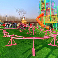 Mini Montagnes Russes Manuelles à Pédales pour Enfants – Construction Métal et Bois, Utilisation Intérieure/Extérieure – Amusement Abordable et Sans Moteur