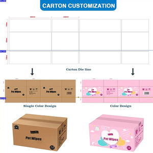 Biokleen 100 منصات بارد الراحة الشخصية التطهير منصات العضوية شجرة الويتشهازل الألوة فيرا الطبيعية سريع المفعول مناديل ل الباسور - Product Image 4