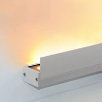 Lampe murale LED, AC 220V, IP65, étanche, bande lumineuse longue pour la publicité extérieure des bâtiments