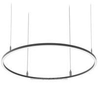 Suspension circulaire LED contemporaine de 1,65 m avec éclairage vers le haut et vers le bas, luminaire suspendu blanc pour centre commercial