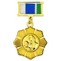 Medallas de Metal Personalizadas de Fábrica, Fabricación de Medallas de Oro, Trofeos, Medallas de Honor